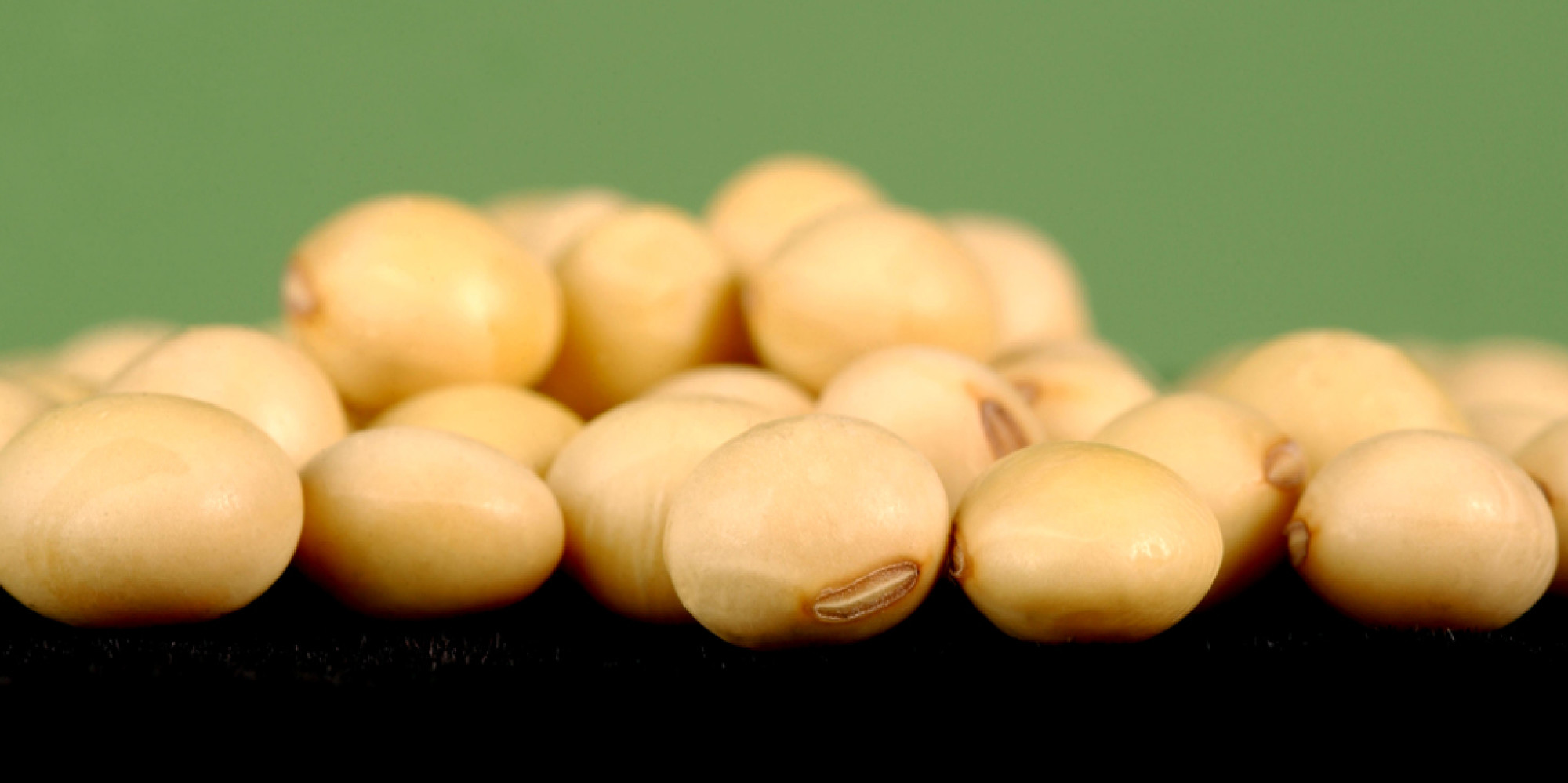 Study Finds GMO Soy Contains CancerCausing Chemical Dr. Elaine